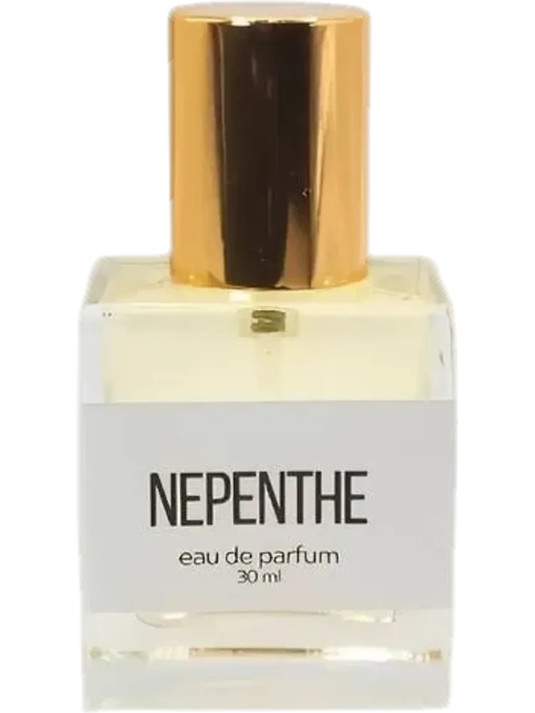 Nepenthe by Maison des Animaux