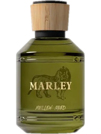 Mellow Mood by Michael Malul