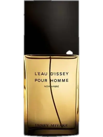 L'Eau d'Issey Pour Homme Noir Ambré by Issey Miyake