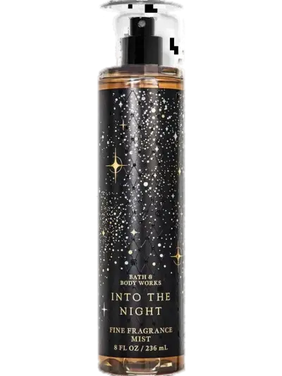 Into the Night (Fragrance Mist) by Bath & Body Works