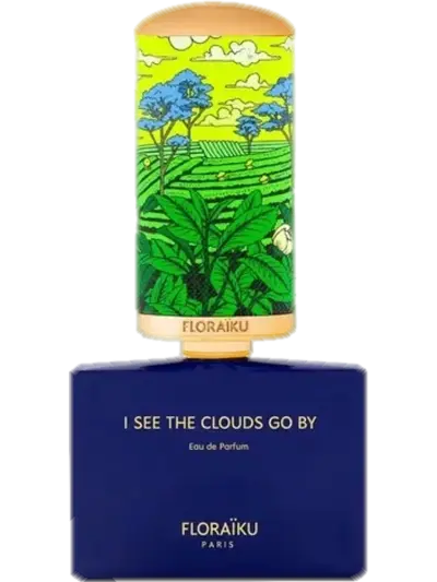 I See the Clouds Go By by Floraïku