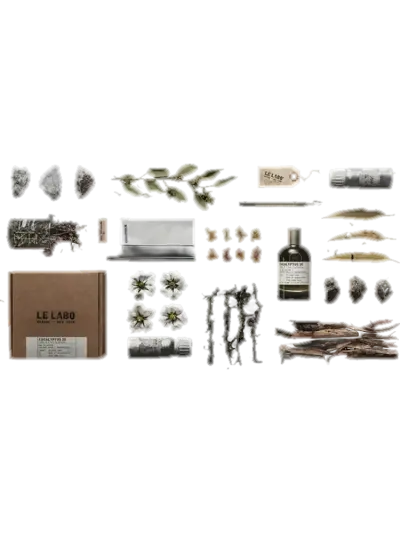 Eucalyptus 20 by Le Labo