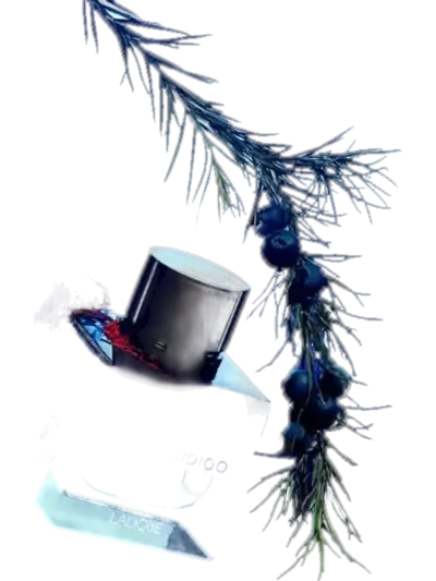 Encre Indigo by Lalique