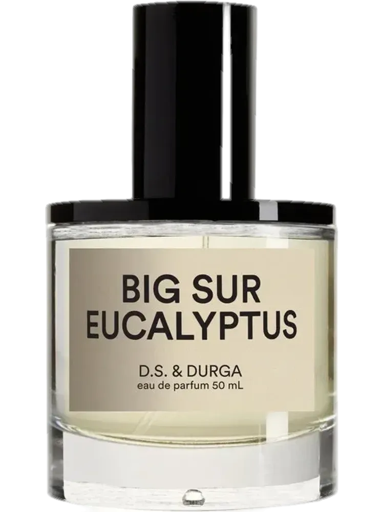 Big Sur Eucalyptus by D.S. & Durga