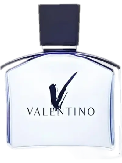 Valentino V pour Homme by Valentino