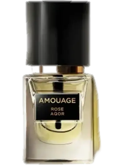 Rose Aqor by Amouage