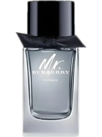Mr. Burberry Indigo by Burberry