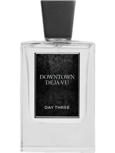 Downtown Deja Vu by Day Three Fragrances