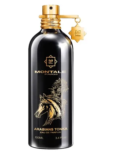 Arabians Tonka by Montale