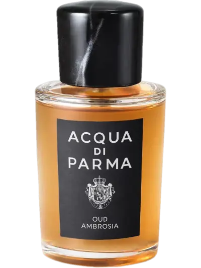 Oud Ambrosia by Acqua di Parma