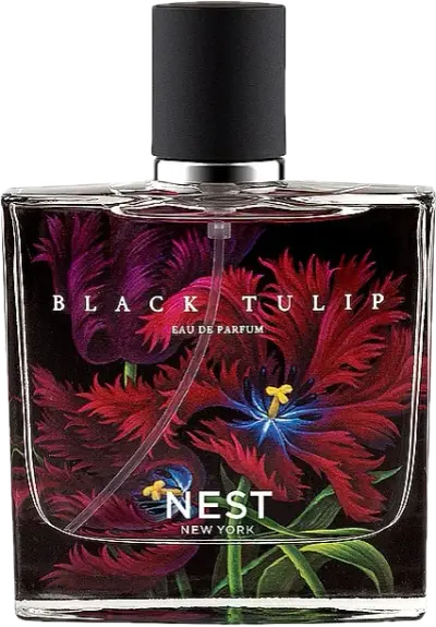 Black Tulip by NEST New York