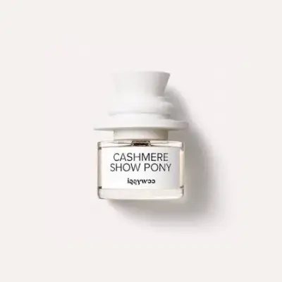 Cashmere Show Pony by Iggywoo