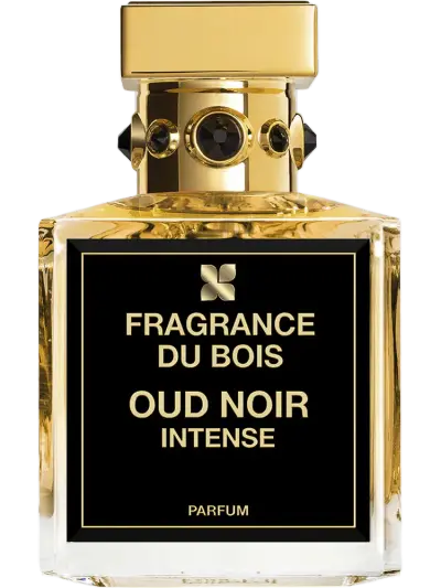 Oud Noir Intense by Fragrance Du Bois