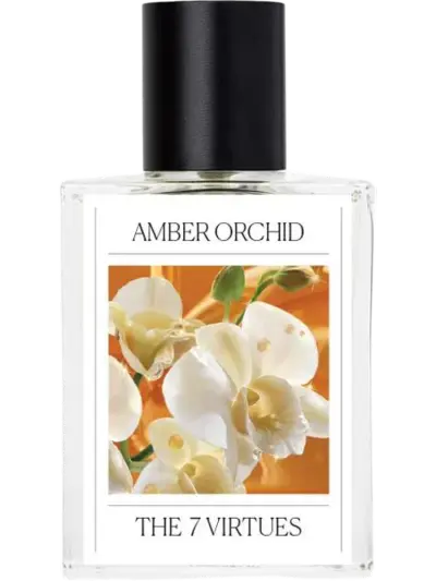 Amber Orchid by The 7 Virtues