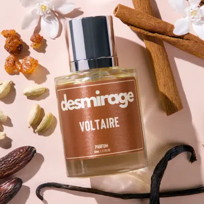 Voltaire by Desmirage