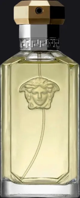 The Dreamer by Versace