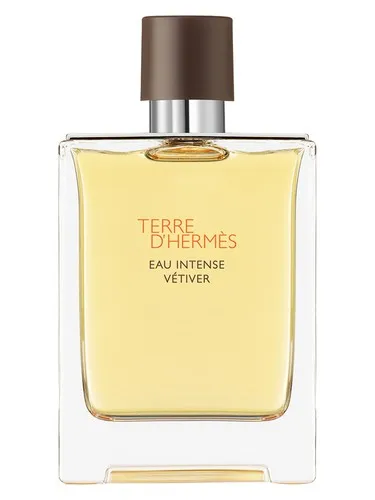 Terre D'Hermes Eau Intense Vetiver by Hermès