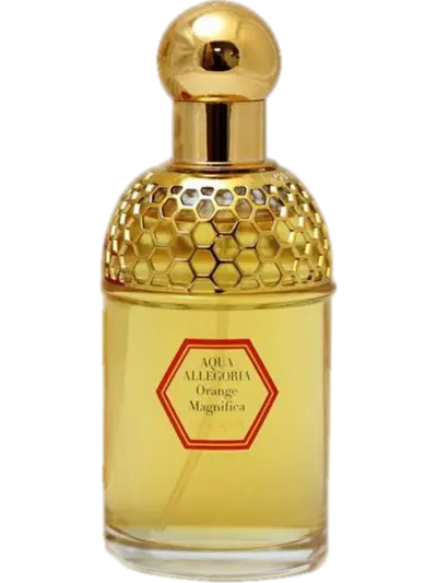 Aqua Allegoria Orange Magnifica by Guerlain