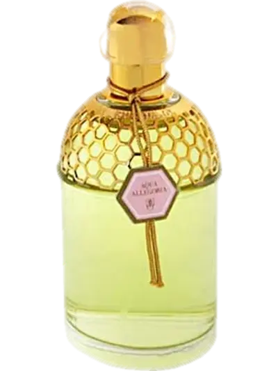 Aqua Allegoria Rosa Magnifica by Guerlain