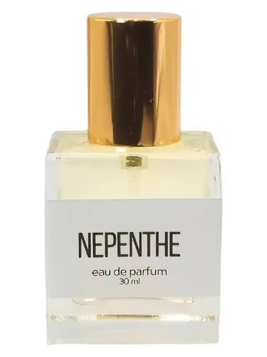 Nepenthe by Maison des Animaux